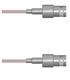 Amphenol Custom Cable Q-030030005012i