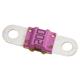 Littelfuse 153.5631.5802