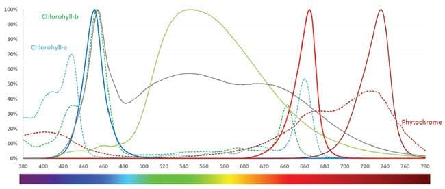 Performance Graph - Lumileds LUXEON SunPlus 20 Line LEDs