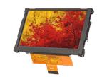 DISPLAY VISIONS EA W800X-50AILW 5