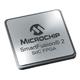 Microchip Technology M2S060-FCSG325I