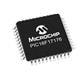 Microchip Technology PIC16F17176T-I/PT