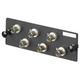 Panduit FAP6WSTZ