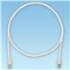 Panduit UTPCH10Y